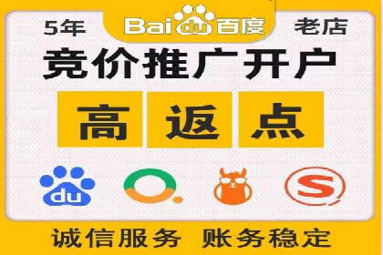 百度网络推广实战技巧：案例解析，让广告投放更精准